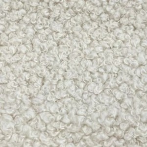 Alpaca 04 