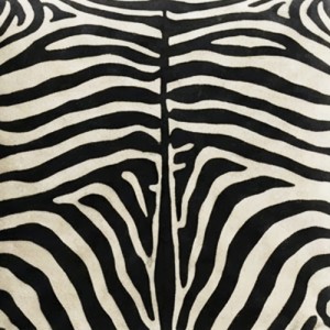 Print Zebra 