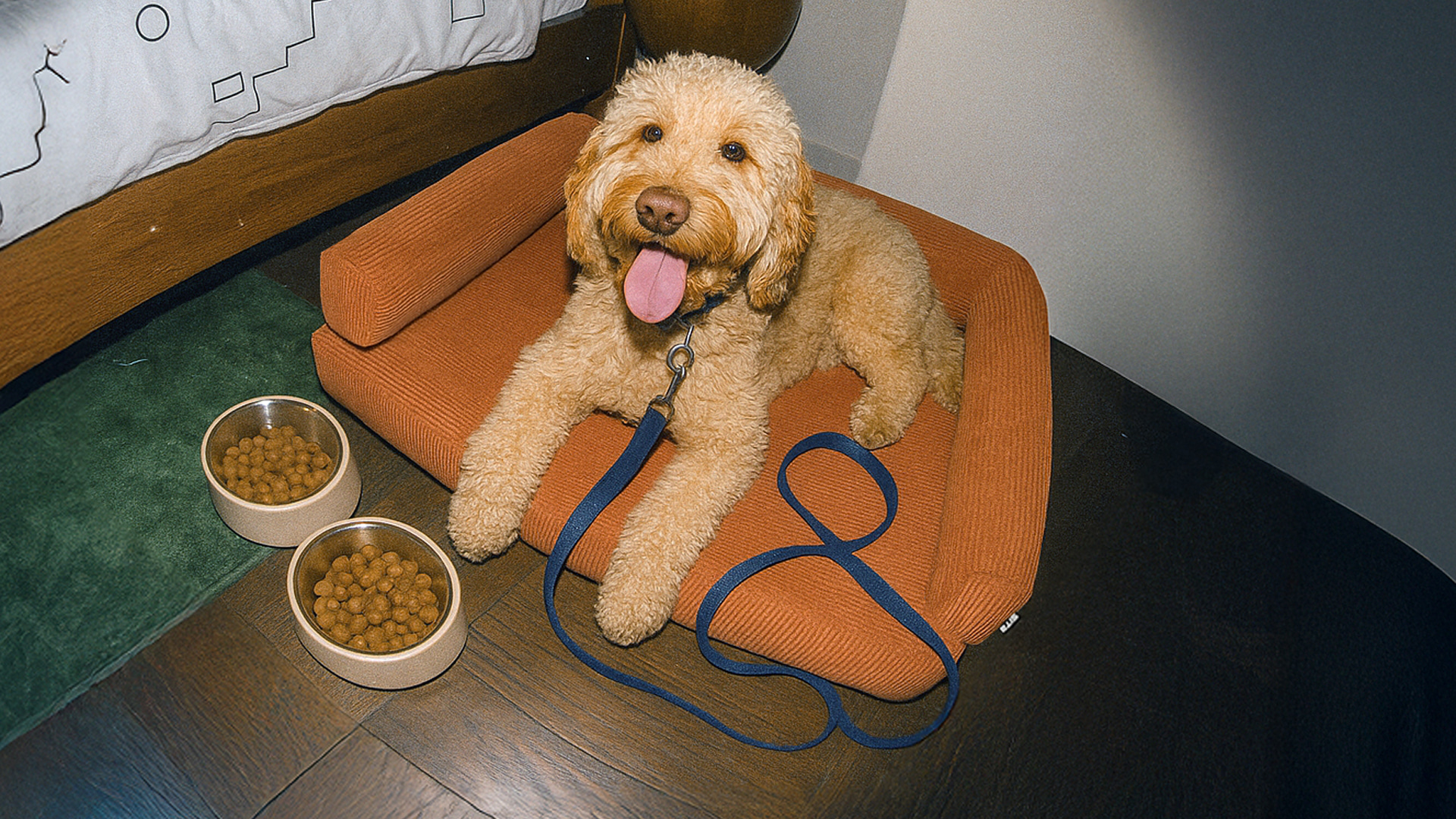 Pet Collection