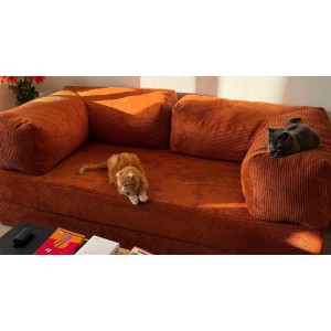 Sofas with removable covers — what is the main advantage of such models?