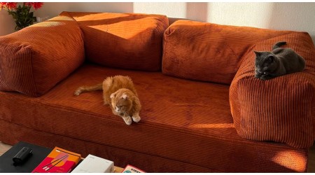 Sofas with removable covers — what is the main advantage of such models?