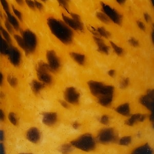 Glass Leo