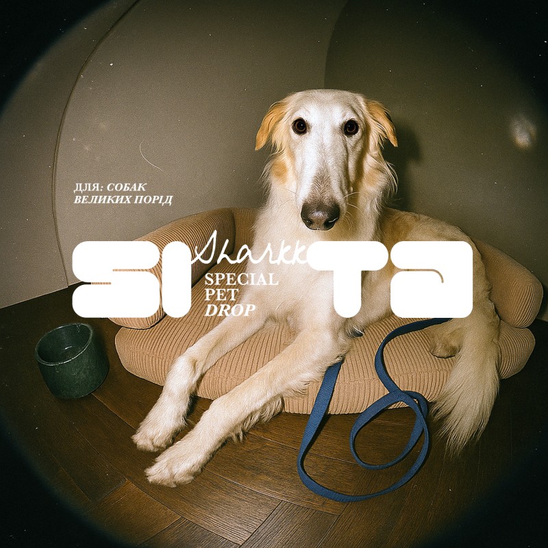 HornsDog Large Paul Sand