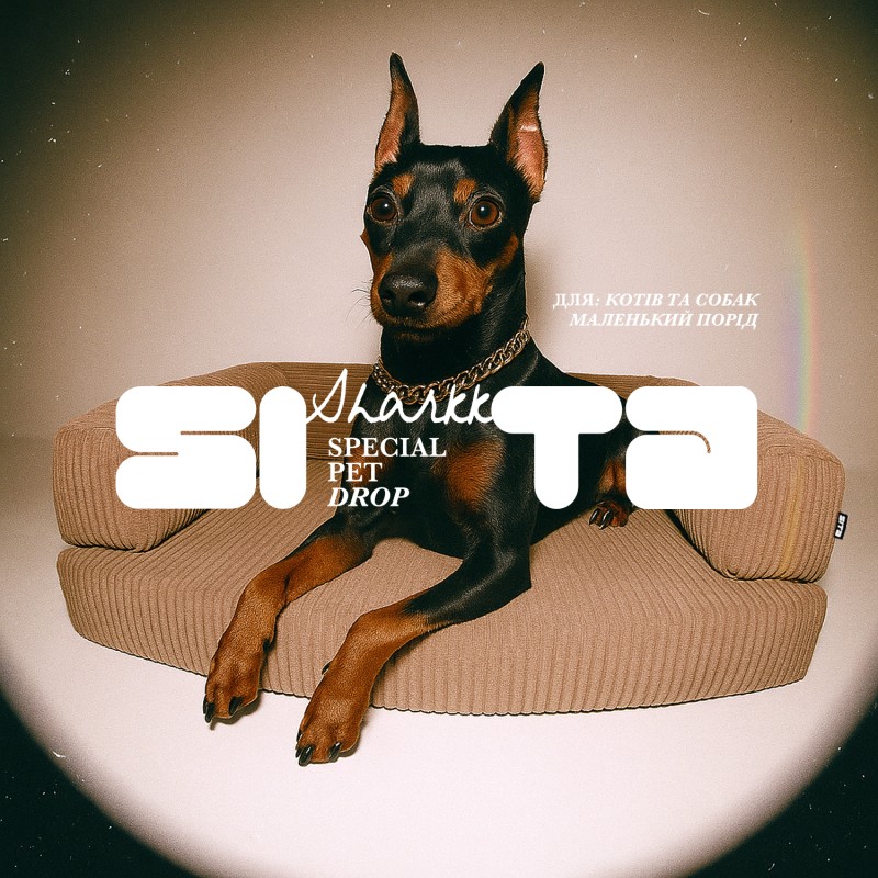 HornsDog Mini Paul Sand