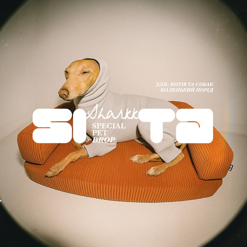 HornsDog Mini Paul Terracotta