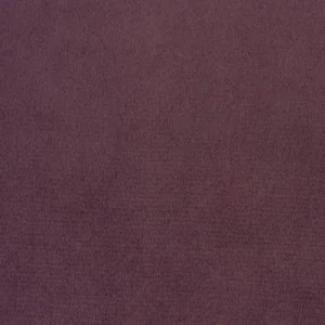 Parade Purple 