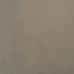 Feather Gray 